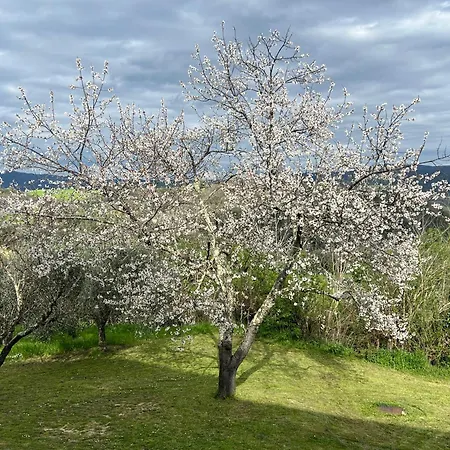 Podere Cortilla
