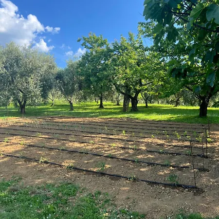 Podere Cortilla Volterra