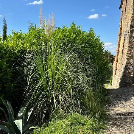 Apartmán Podere Cortilla
