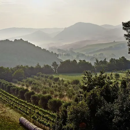 Podere Cortilla Apartment *
